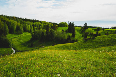 Scenic view of rolling fields against sky