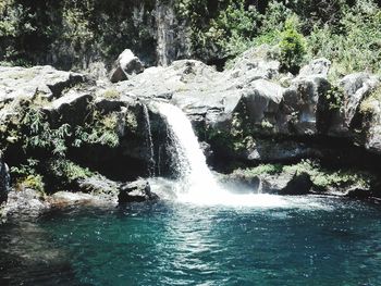 Scenic view of waterfall in forest