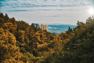 Scenic view of trees by sea against sky