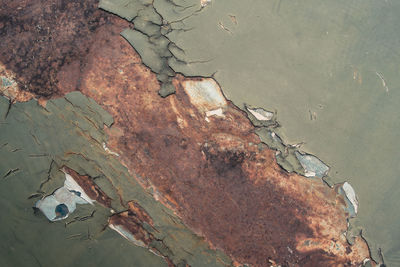 High angle view of leaves floating on water