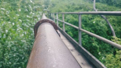 Close-up of metal fence