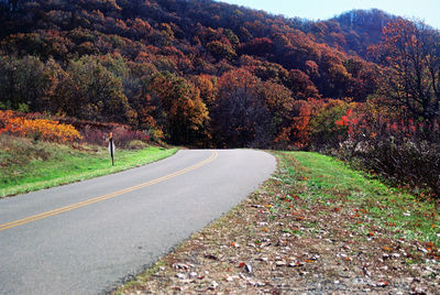 Road amidst trees during autumn