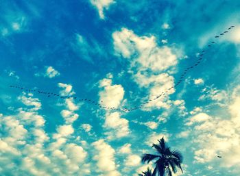 Low angle view of birds flying against blue sky