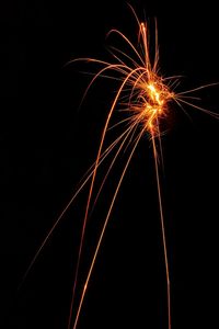 Light trails in sky at night