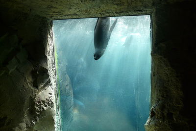 Swimming pool in sea