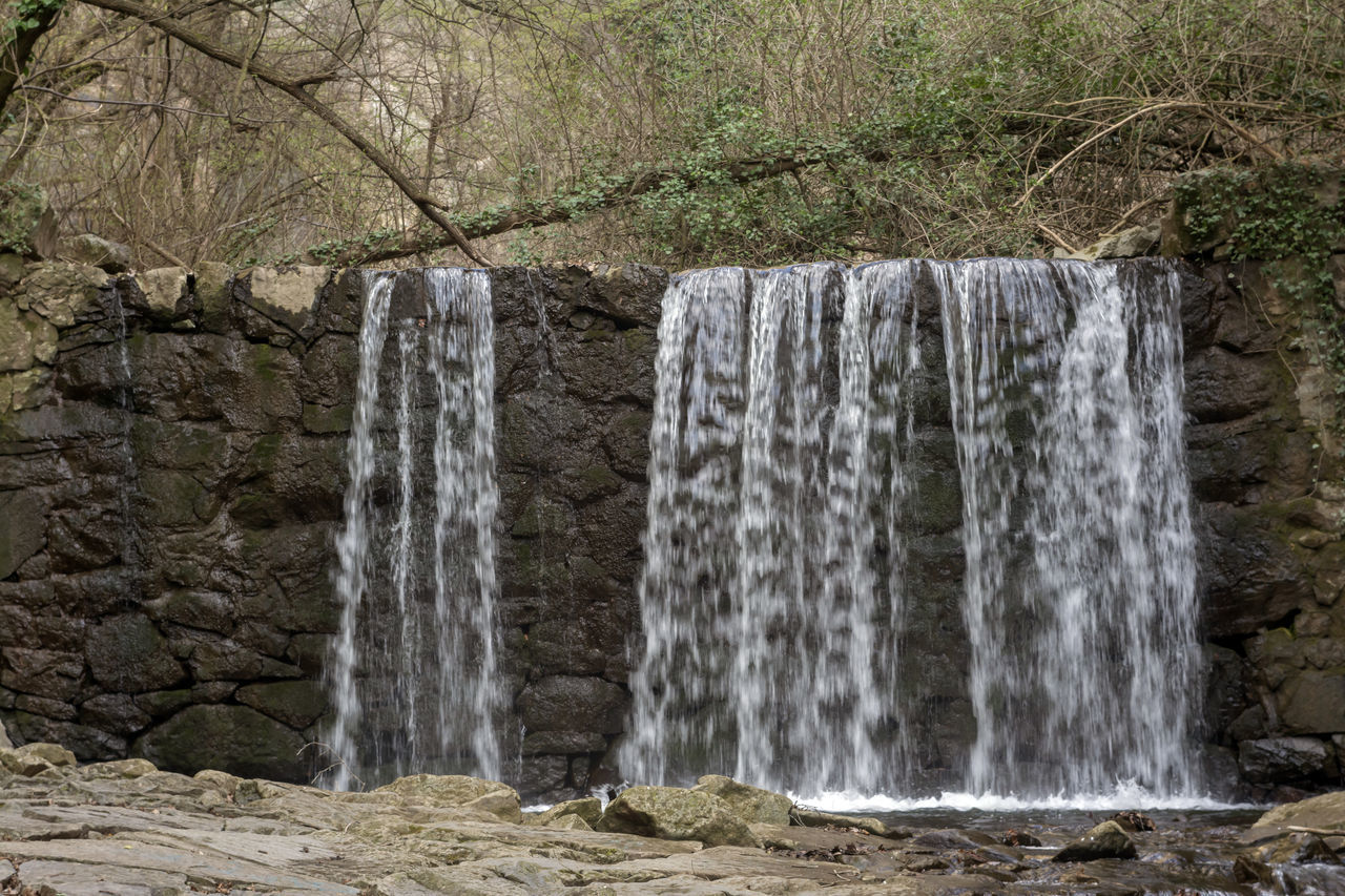 WATERFALL IN FOREST