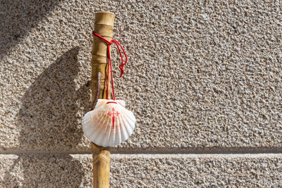 Close-up of umbrella against wall