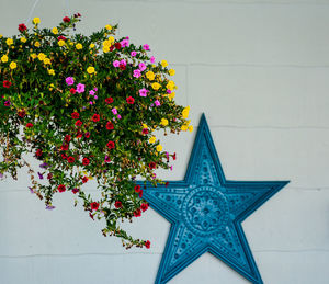 Low angle view of flowers against built structure