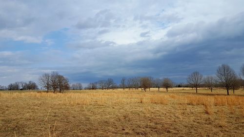 Scenic view of landscape against sky