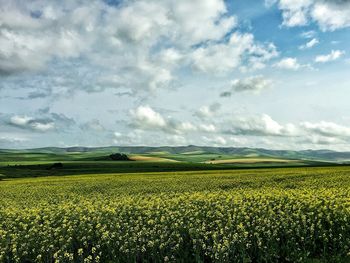 Scenic view of field against cloudy sky