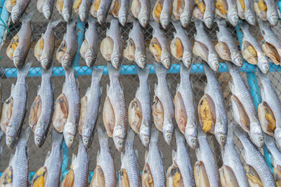 Full frame shot of fish for sale in market