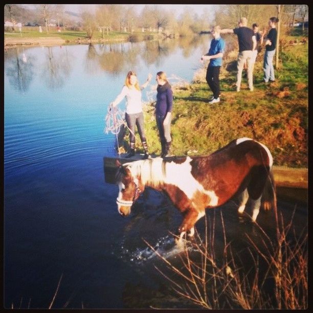 water, transfer print, animal themes, domestic animals, mammal, auto post production filter, lake, togetherness, dog, pets, men, standing, reflection, two animals, lifestyles, nature, leisure activity, livestock, full length