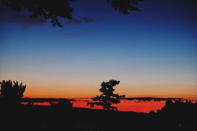 Silhouette trees against sky during sunset