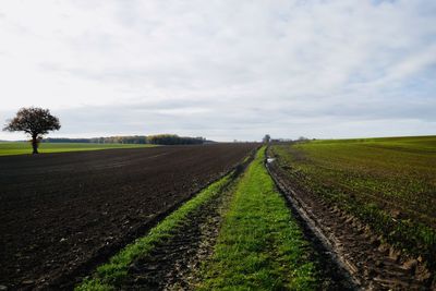 Scenic view of agricultural field against sky