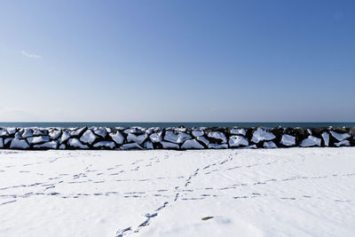 Flock of birds in sea against clear sky