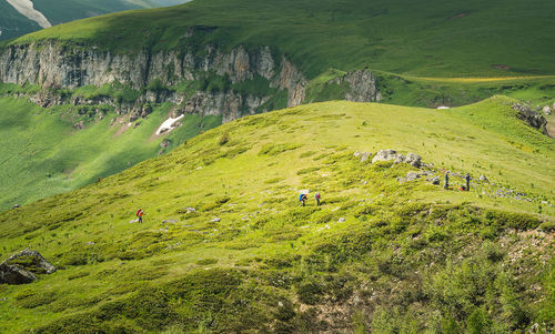 Scenic view of landscape