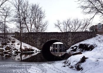 Bare trees on snow covered landscape