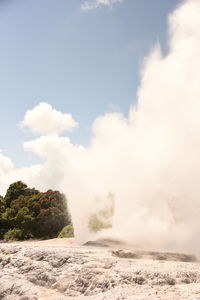 Pohutu geyser at rotorua