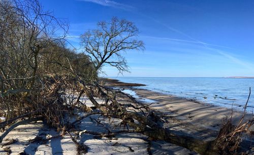 Scenic view of sea against blue sky