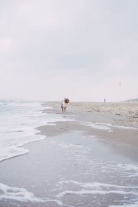 Scenic view of beach