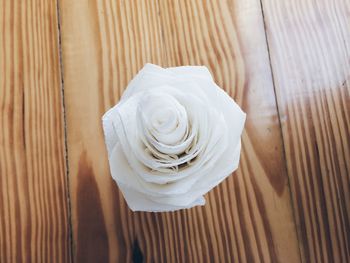 Close-up of rose on table