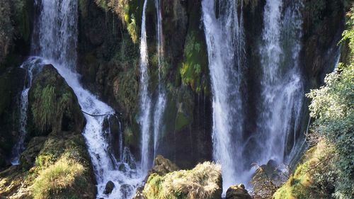 Scenic view of waterfall in forest