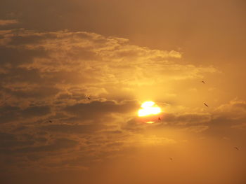 Low angle view of silhouette birds flying against romantic sky