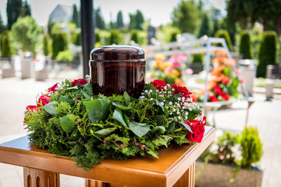 Close-up of potted plant on table