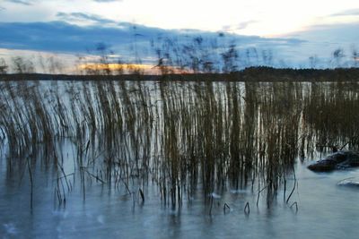 Scenic view of lake against sky