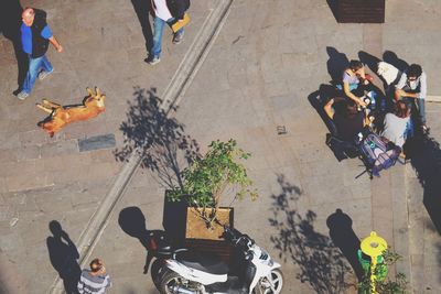 High angle view of people on footpath during sunny day