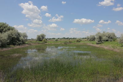 Scenic view of lake against sky