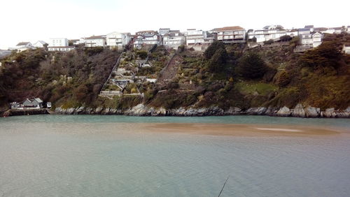 View of trees on beach