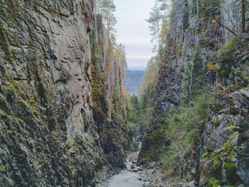 Panoramic view of trees and rocks against sky