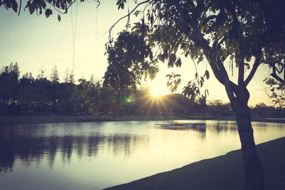 Silhouette trees by lake against sky during sunset