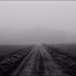 Road passing through forest