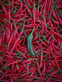 Full frame shot of red chili peppers