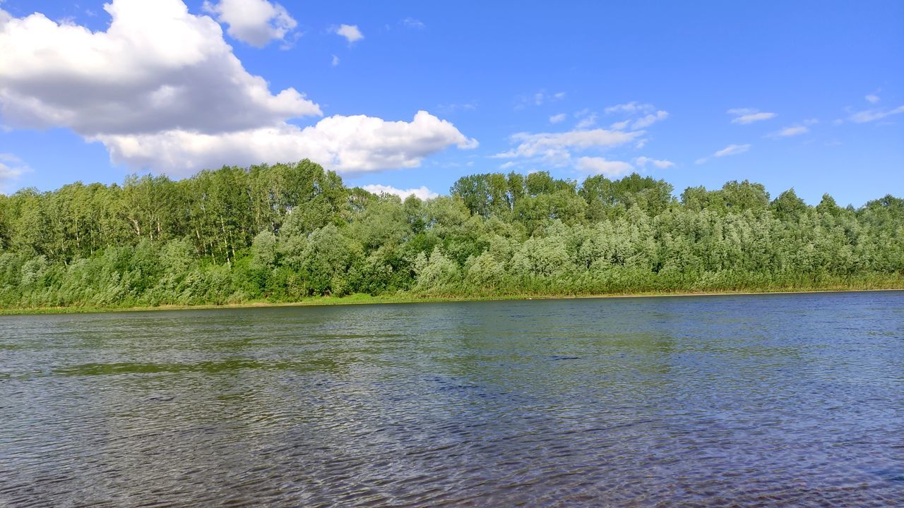 SCENIC VIEW OF RIVER AMIDST TREES IN FOREST AGAINST SKY