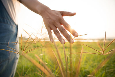 Close-up of hands on field