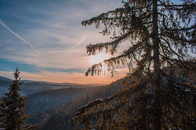 Scenic view of tree mountains against sky during sunset