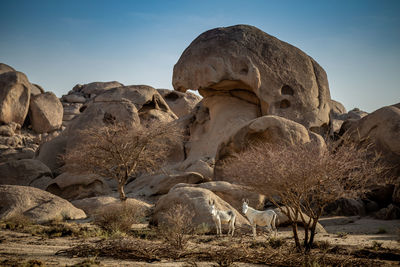 Rock formation on land against sky