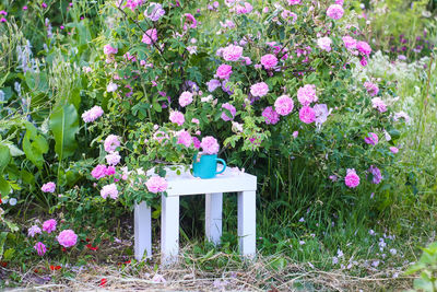 Hot herbal tea with rose petals in ceramic tea cup outdoors