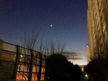 Trees against blue sky and clouds