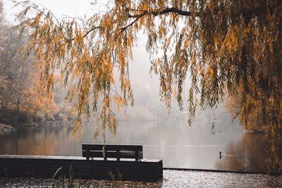 Scenic view of lake against trees during autumn and foggy weather