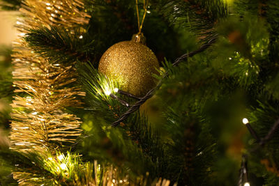 Close-up of christmas tree