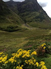 Scenic view of landscape with mountain range in background