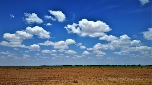 Scenic view of field against blue sky