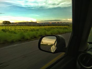 Side-view mirror of car on field