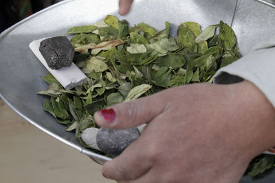 High angle view of person preparing food outdoors