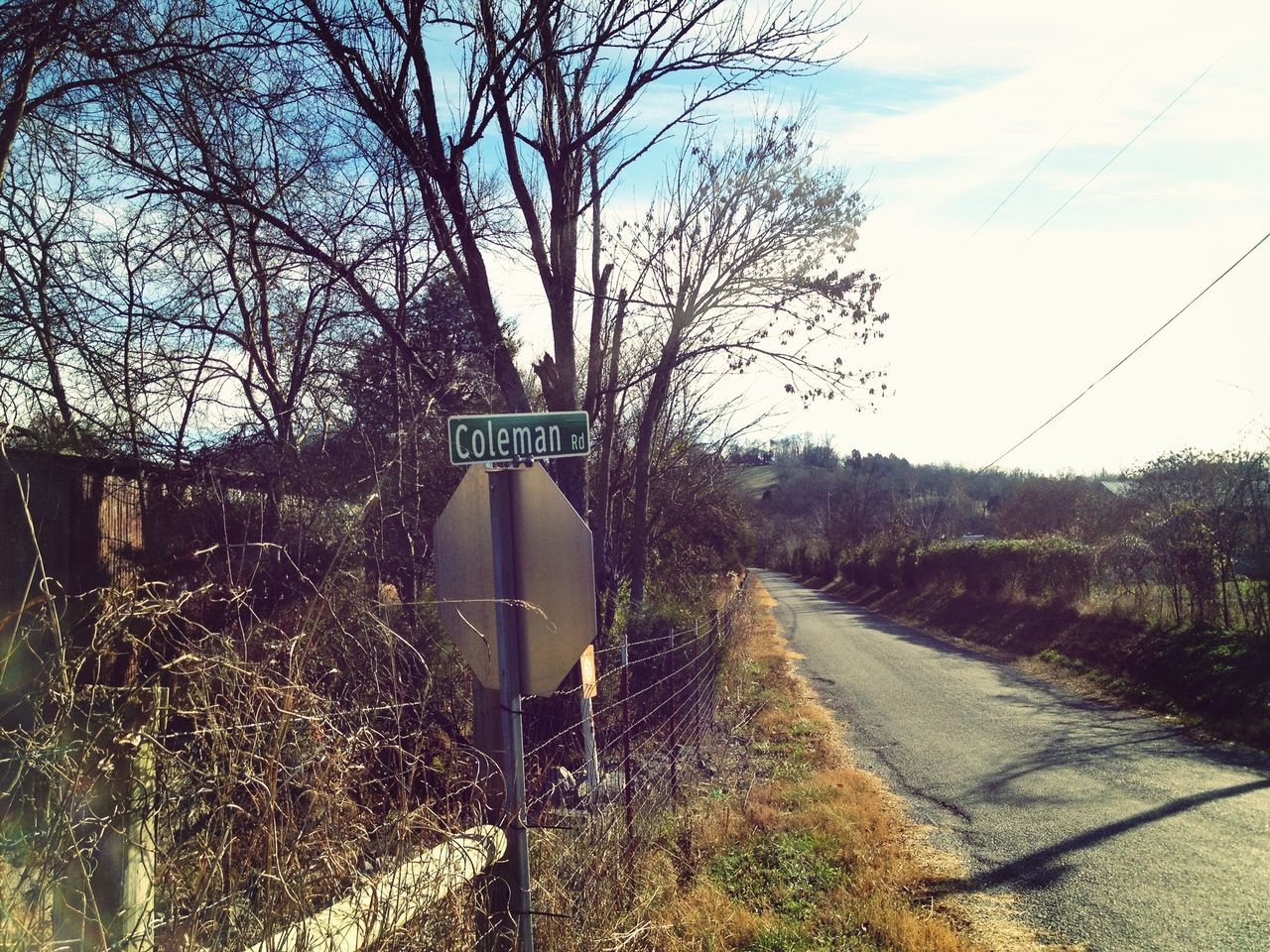 transportation, the way forward, tree, road, road sign, diminishing perspective, guidance, communication, text, road marking, vanishing point, information sign, sky, bare tree, country road, sign, day, direction, railroad track, directional sign