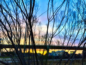 Bare trees against sky during sunset